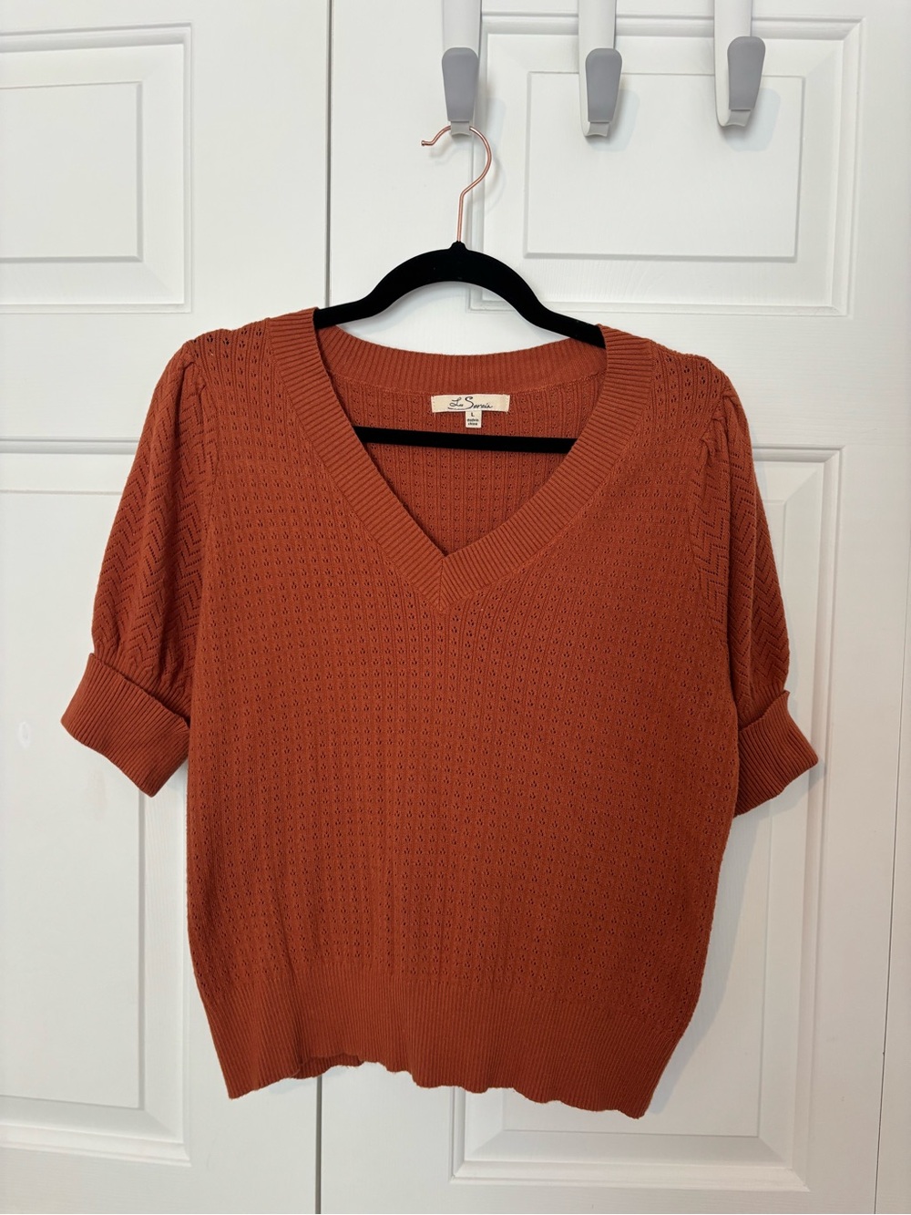 Women's Rust Short-Sleeve V-Neck Sweater